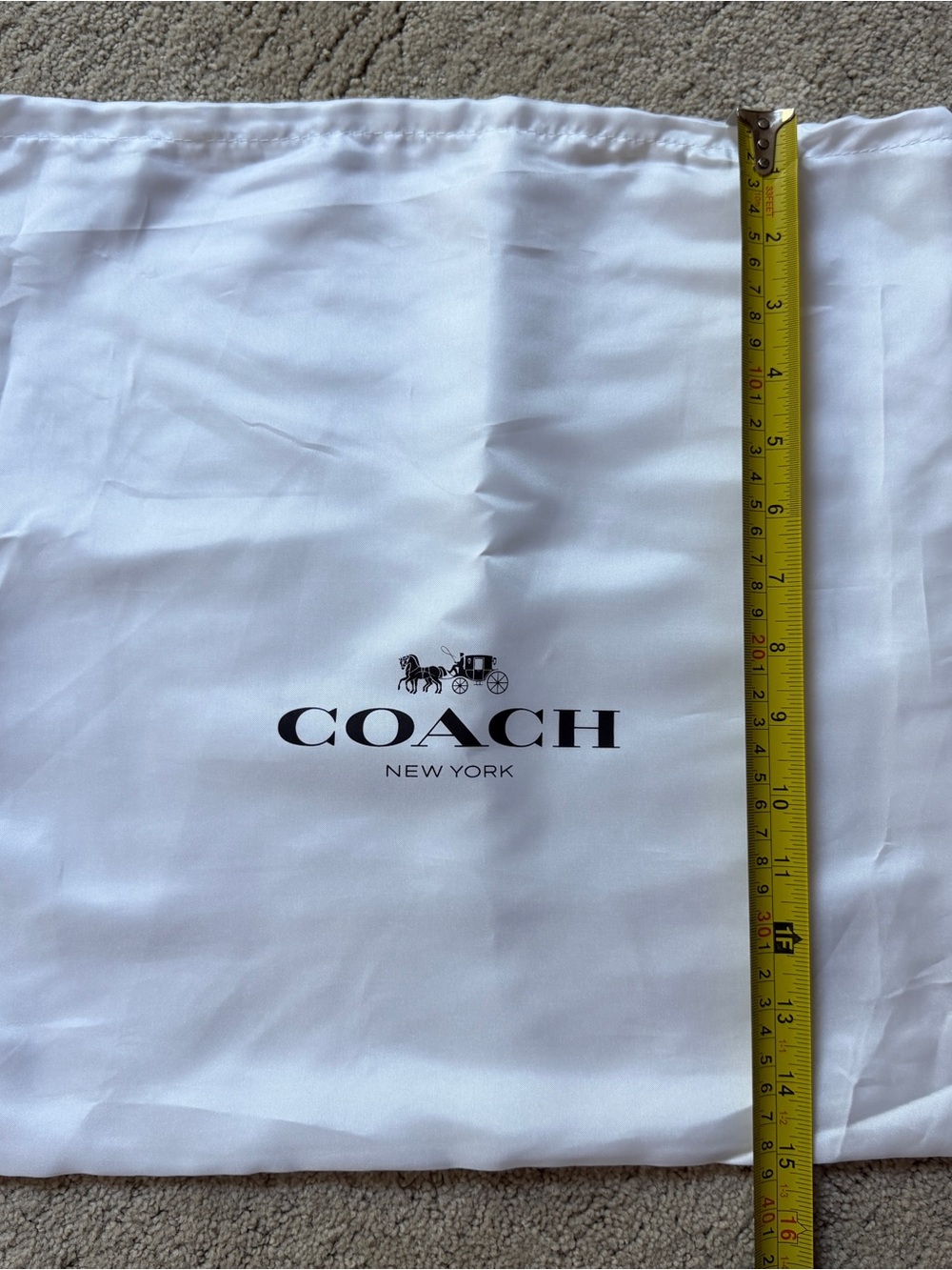 COACH White Logo Dust Bag with Carriage Print